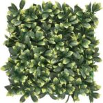 CELOSIA EXT.MIMBRE-HOJAS LAUREL