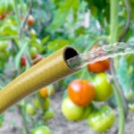 MTS Manguera Agricola 1" 25Mm 25M