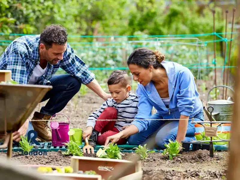 Cuidado plantas