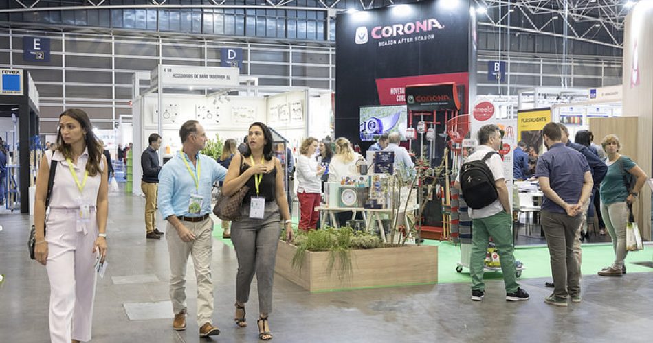 45074549701_f94994661f_z