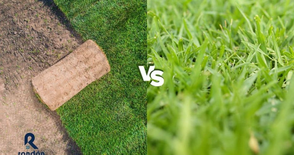 césped natural o artificial ¿Cuál elegir?