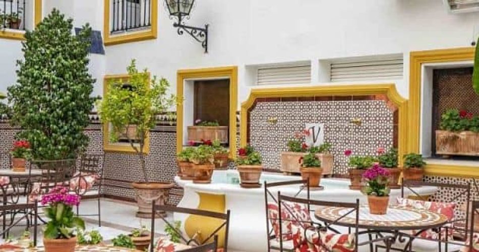 Decoración patio andaluz plantas