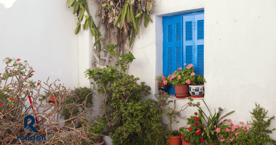 Sácale provecho a tu jardín pequeño
