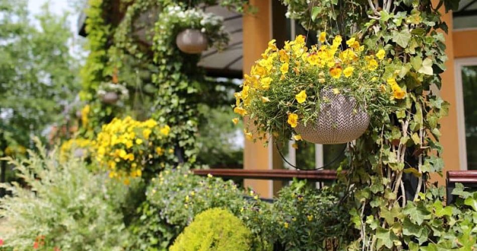 Tendencia en Jardín 2021