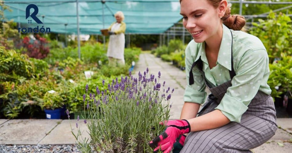 Ventajas de mallas de sombreo