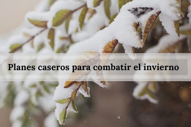 Cinco planes para pasar el invierno en casa